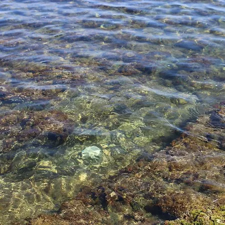Bell's Cove